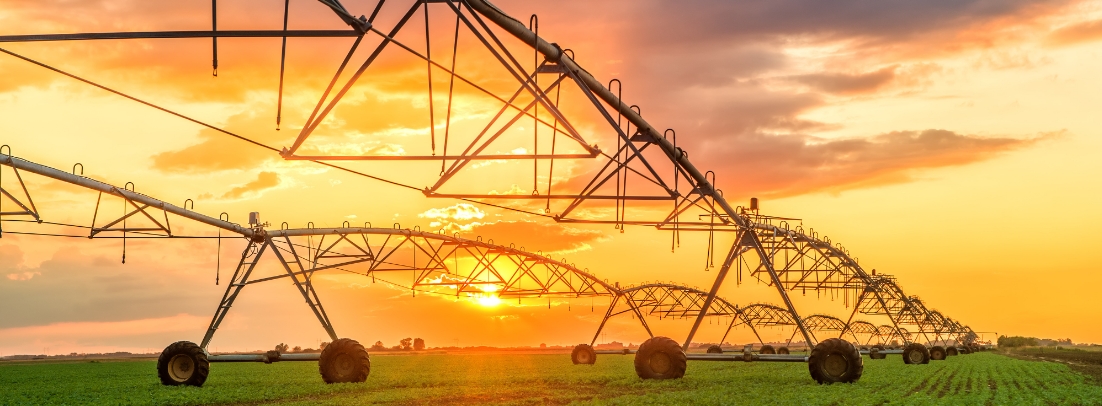 日落时的自动化农业灌溉系统照片